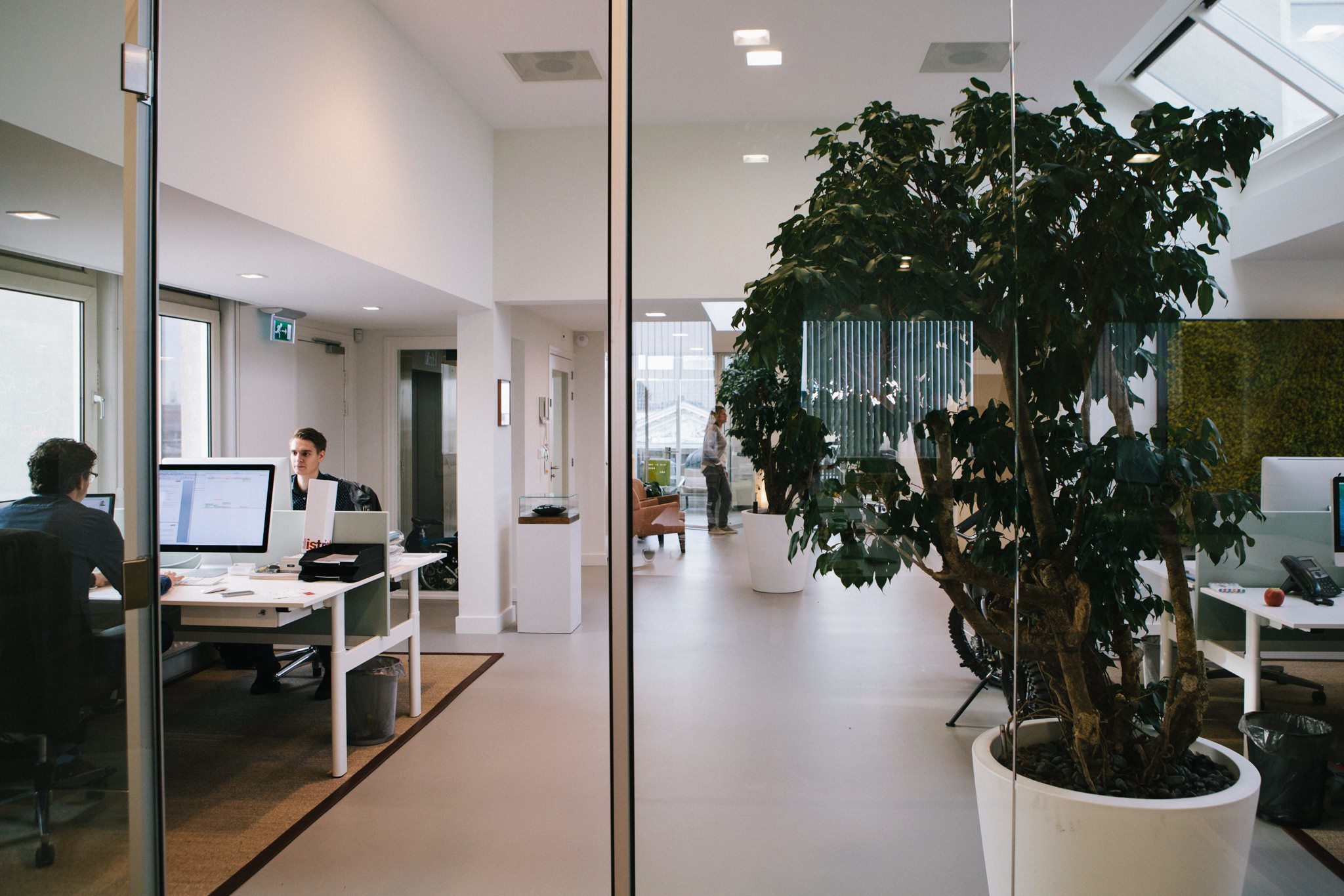 Omslagfoto van Mollie