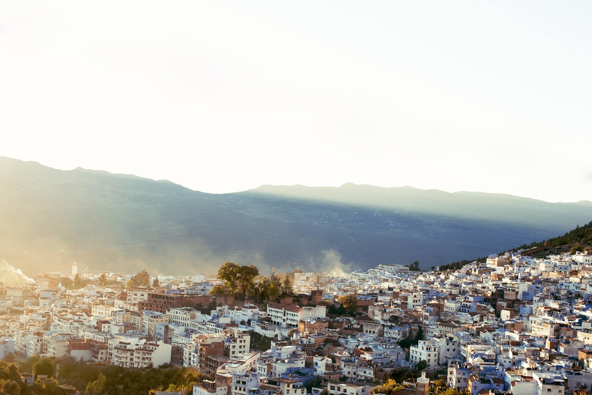 Daily Paper's cover photo