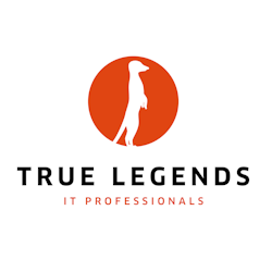 True Legends IT Professionals