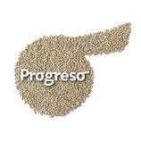 Logo Progreso Foundation