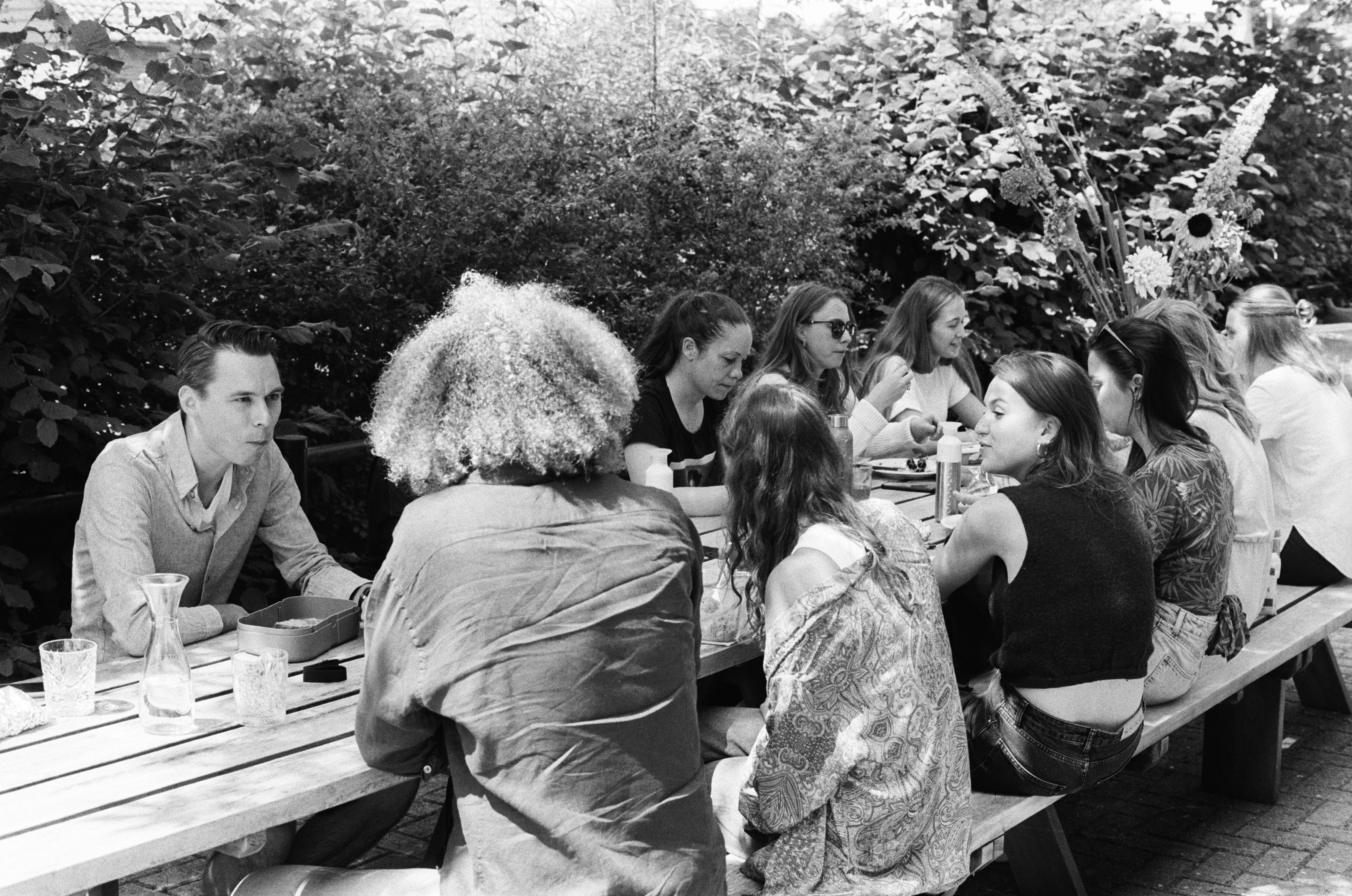 Omslagfoto van Artipoppe