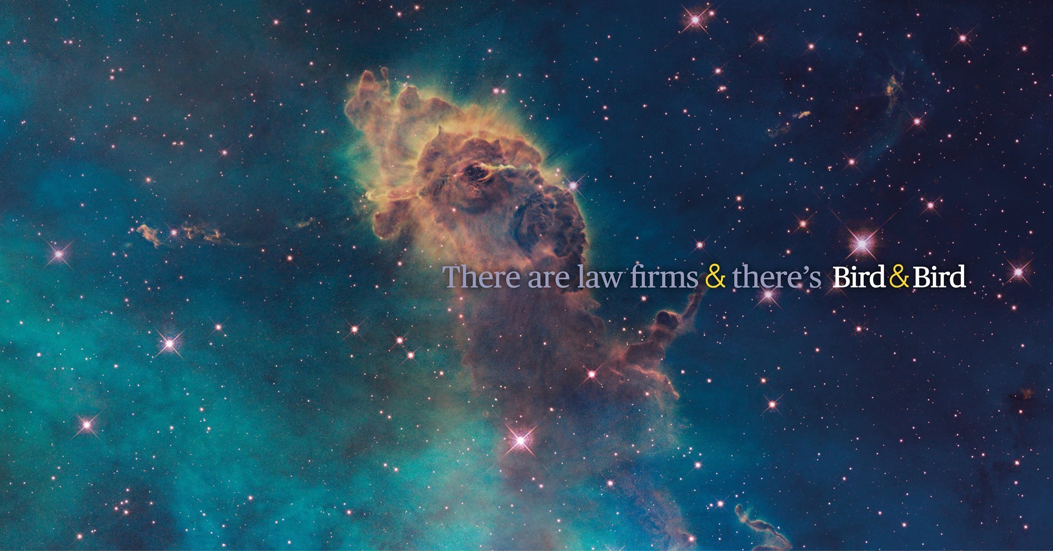 Bird & Bird UK's cover photo