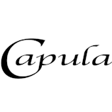 Logo Capula Investment Management LLP