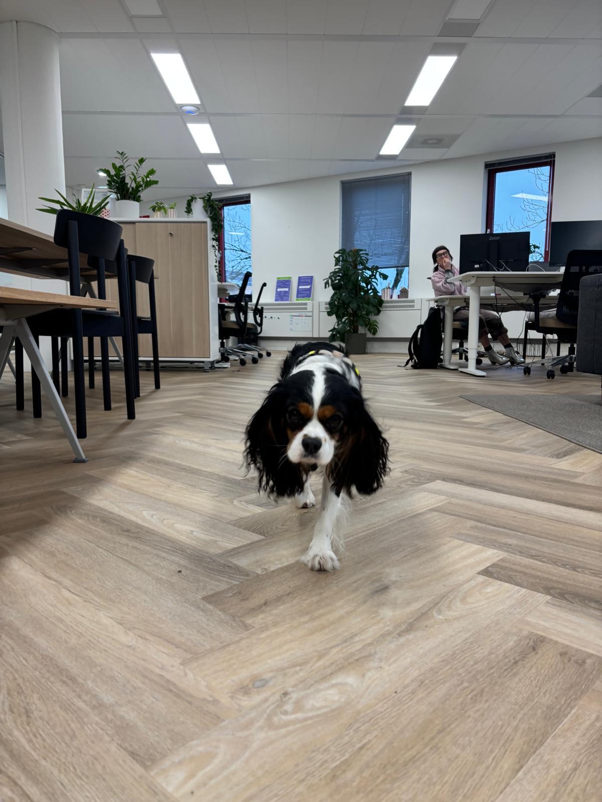 Omslagfoto van Classroomscreen