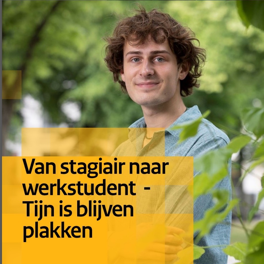 Tijn