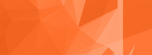 Omslagfoto van Roc Search