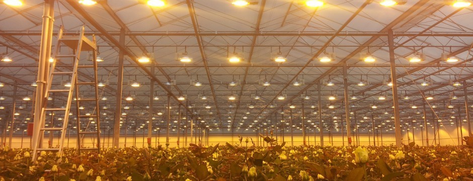 Omslagfoto van Avant Projects