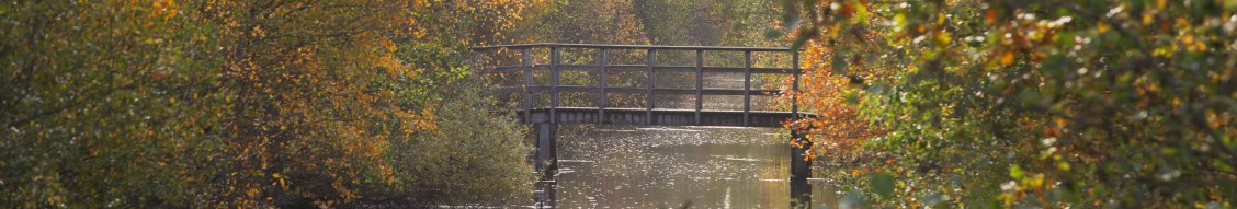 Omslagfoto van Gemeente Achtkarspelen