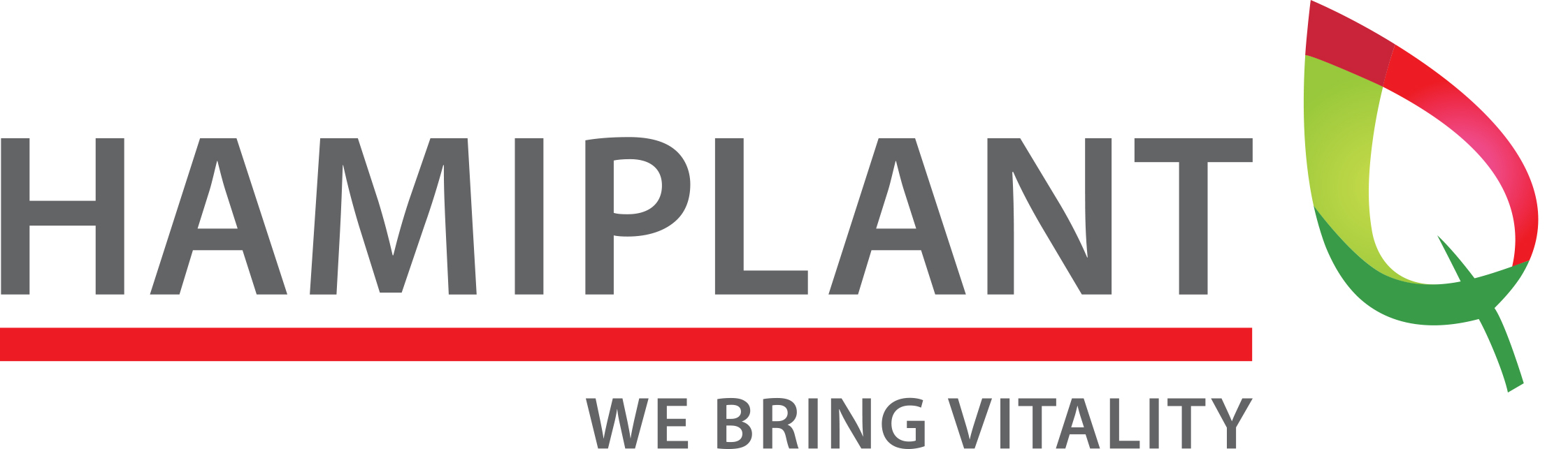 Hamiplant B.V. logo