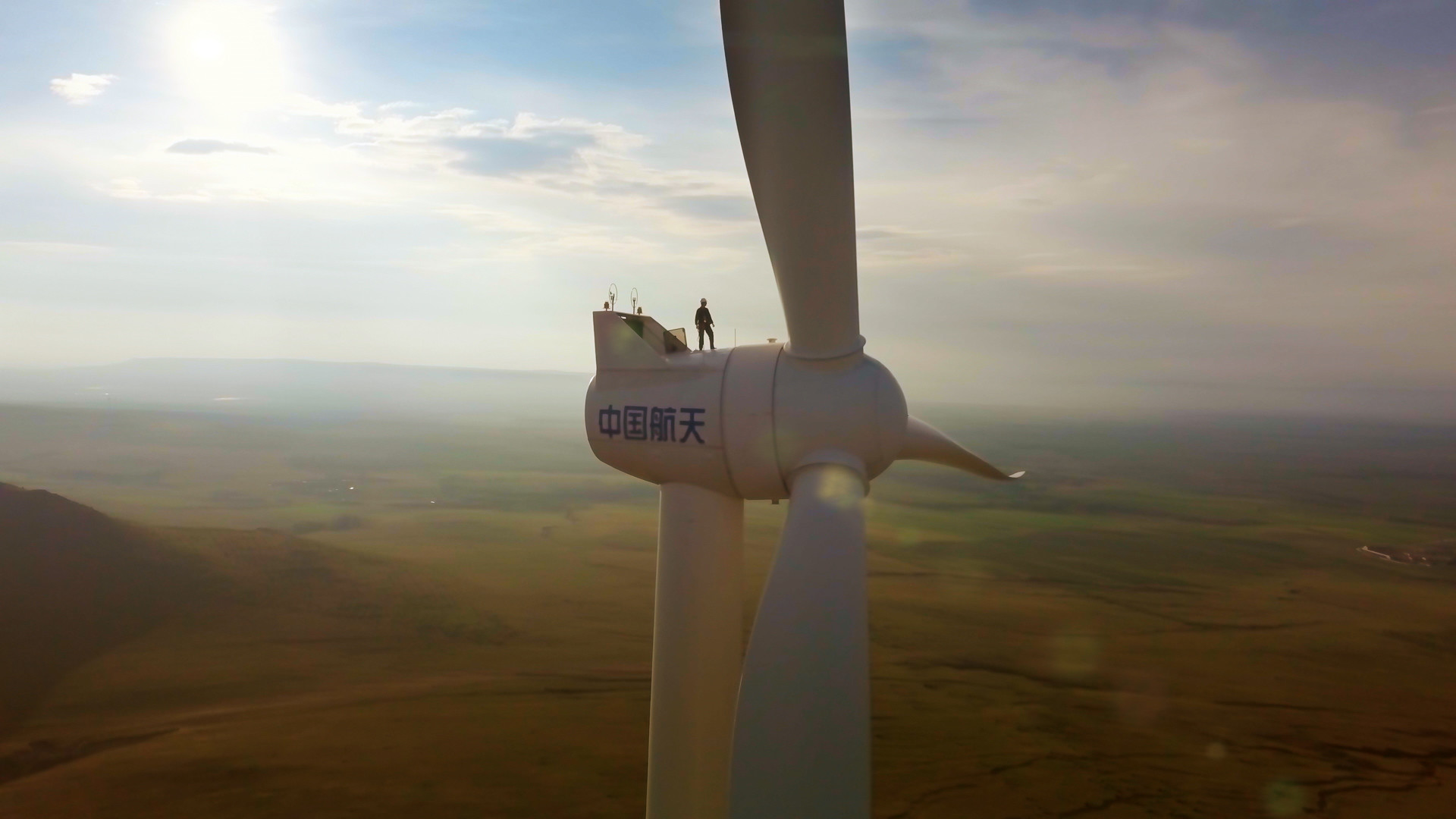 De Haaien's cover photo