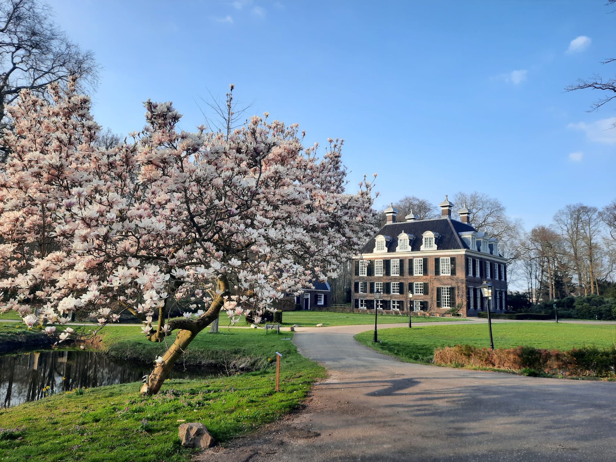 Omslagfoto van Club Groeneveld