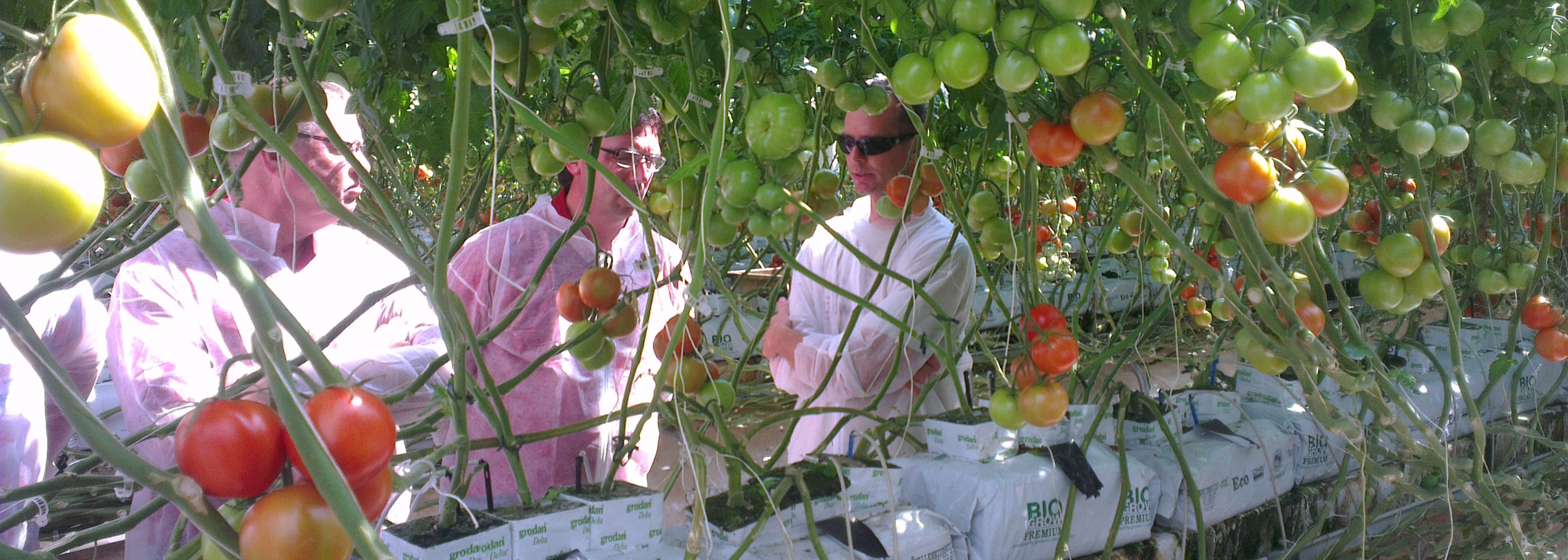 ClimaConnect's cover photo