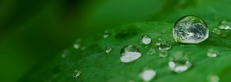 Omslagfoto van SIMS Recycling Solutions UK