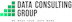 Data Consulting Group logo