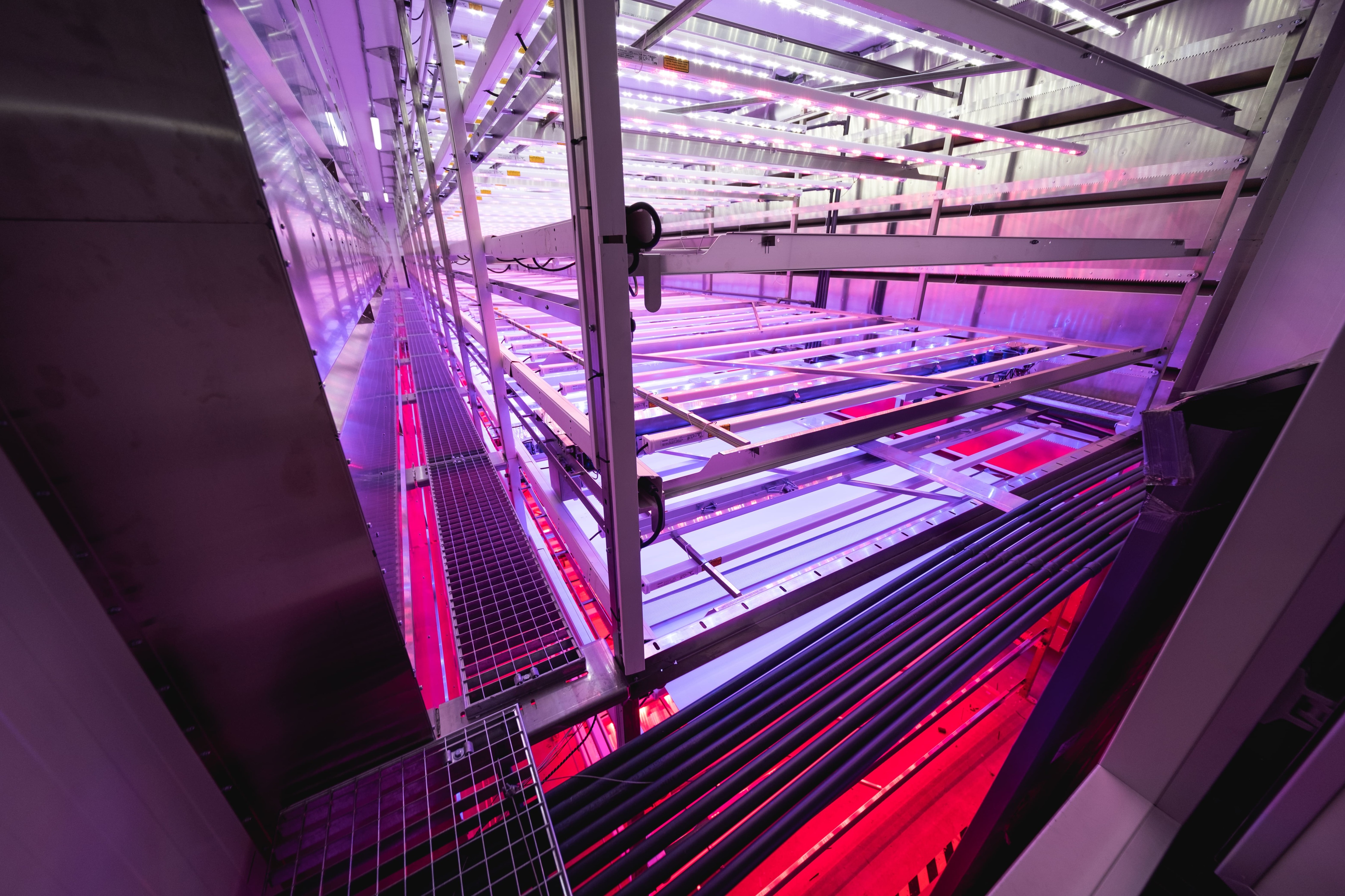 Omslagfoto van GROWx