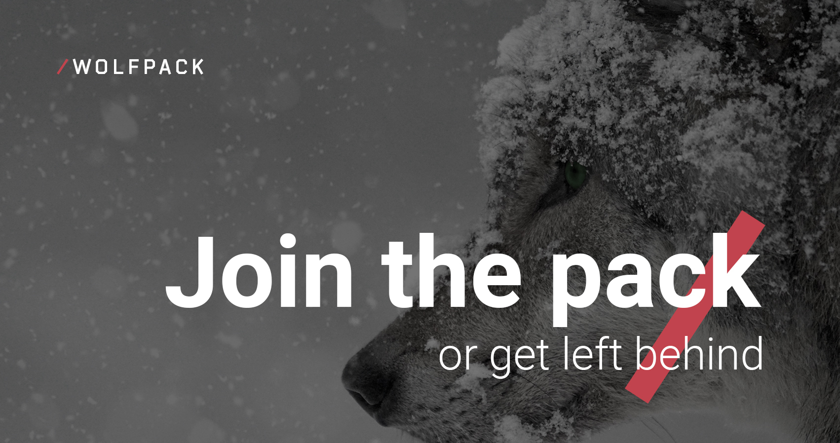 Omslagfoto van Team Lead bij Wolfpack IT