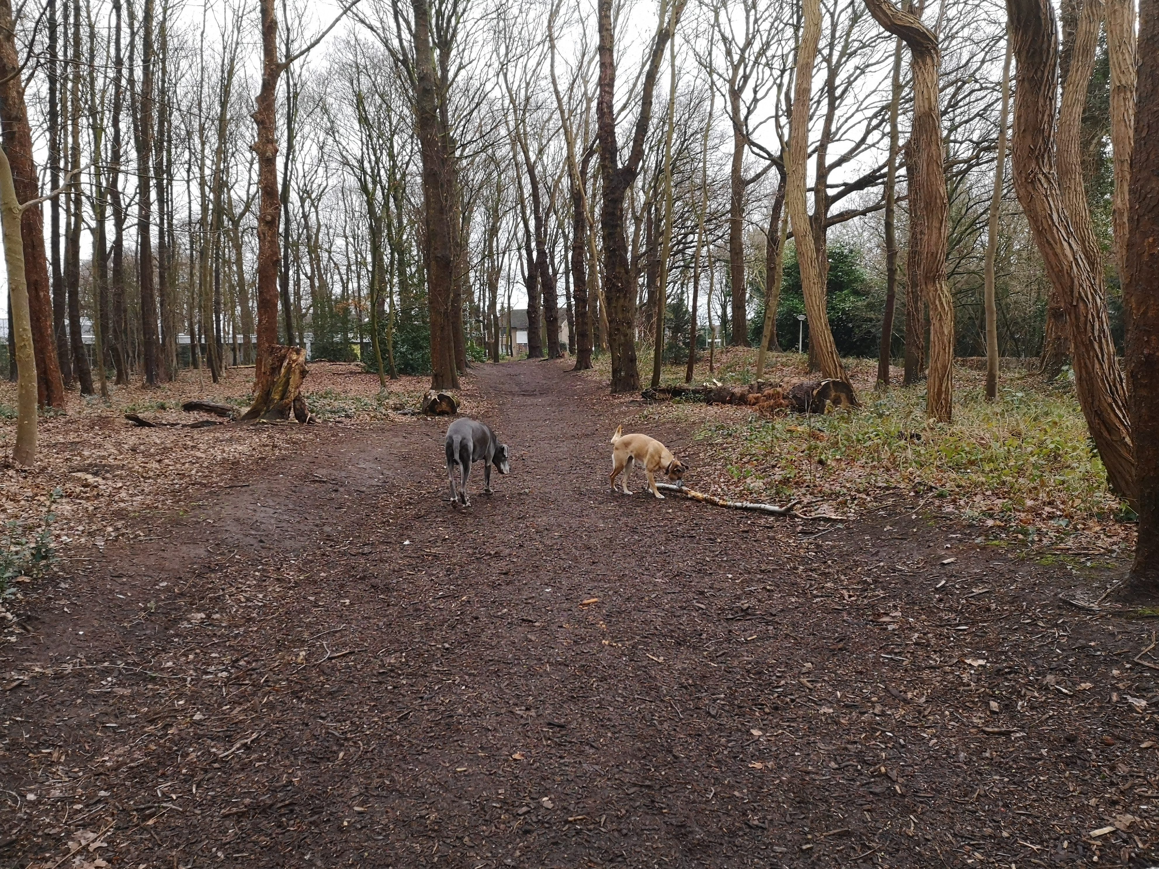 Petbnb's cover photo