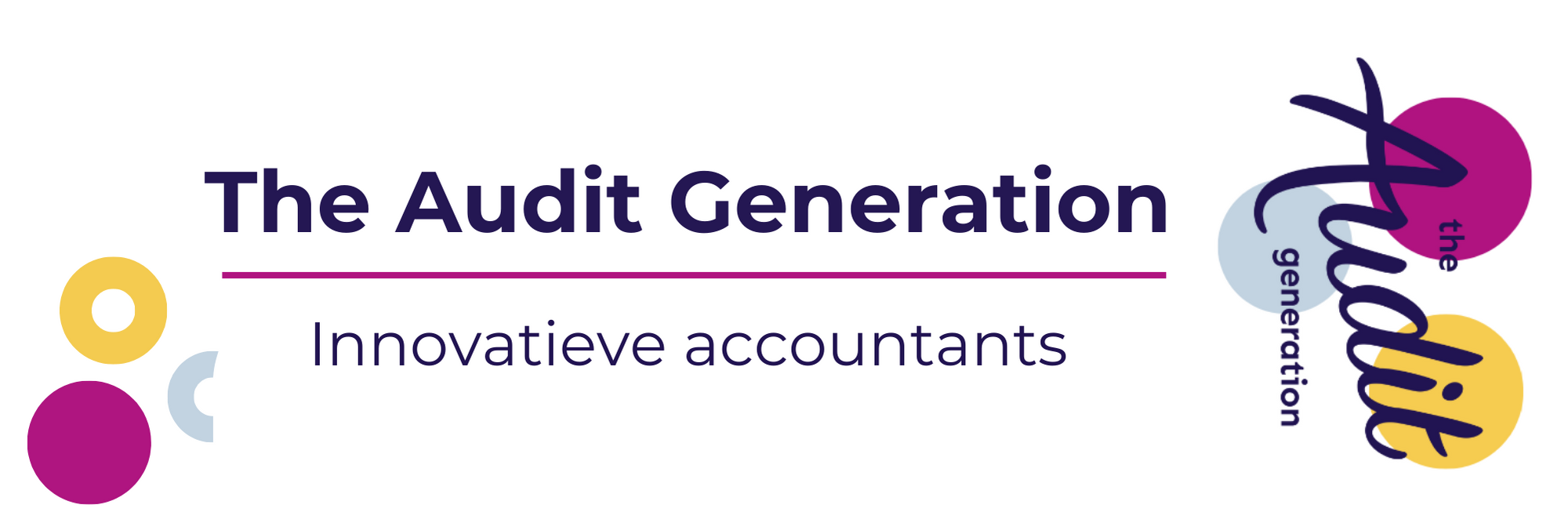 The Audit Generation's cover photo