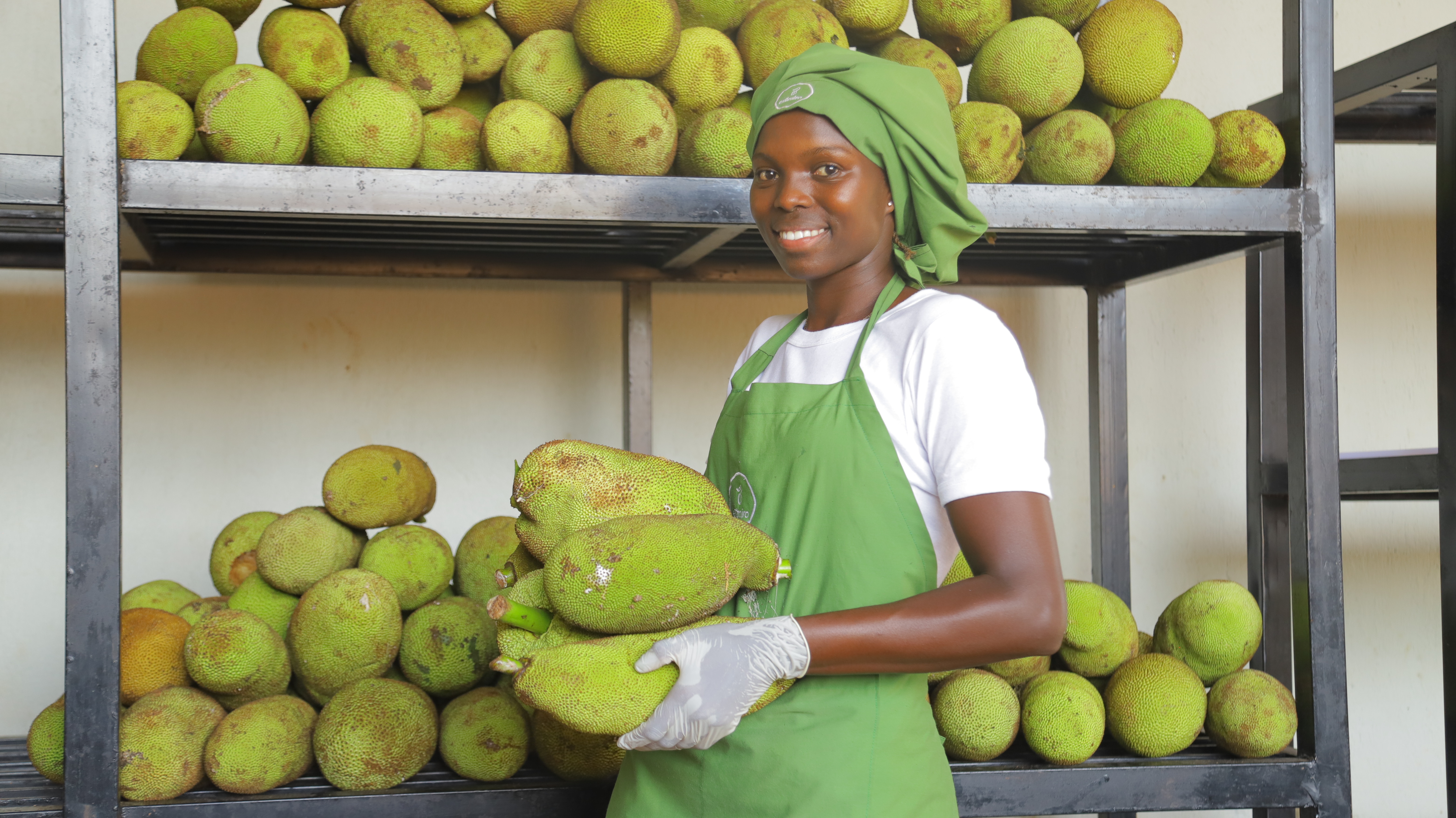 Omslagfoto van Fiber Foods