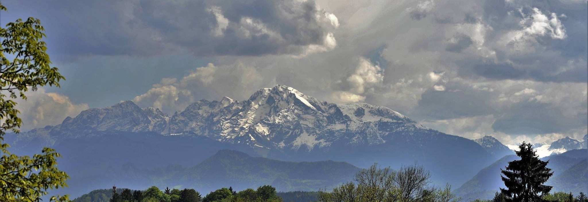 Omslagfoto van PetroStars  Devolpment Academy - PRS