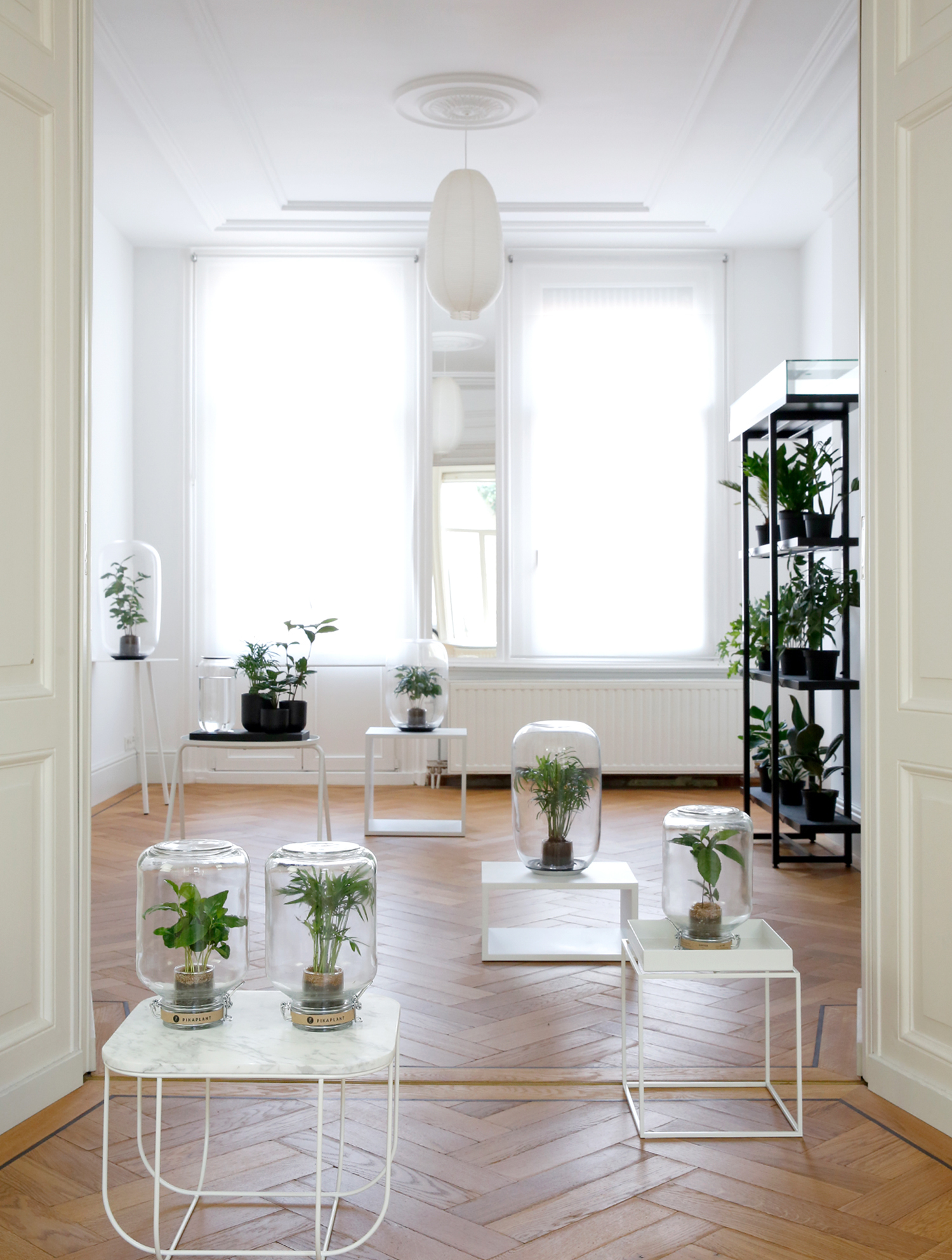 Omslagfoto van PikaPlant