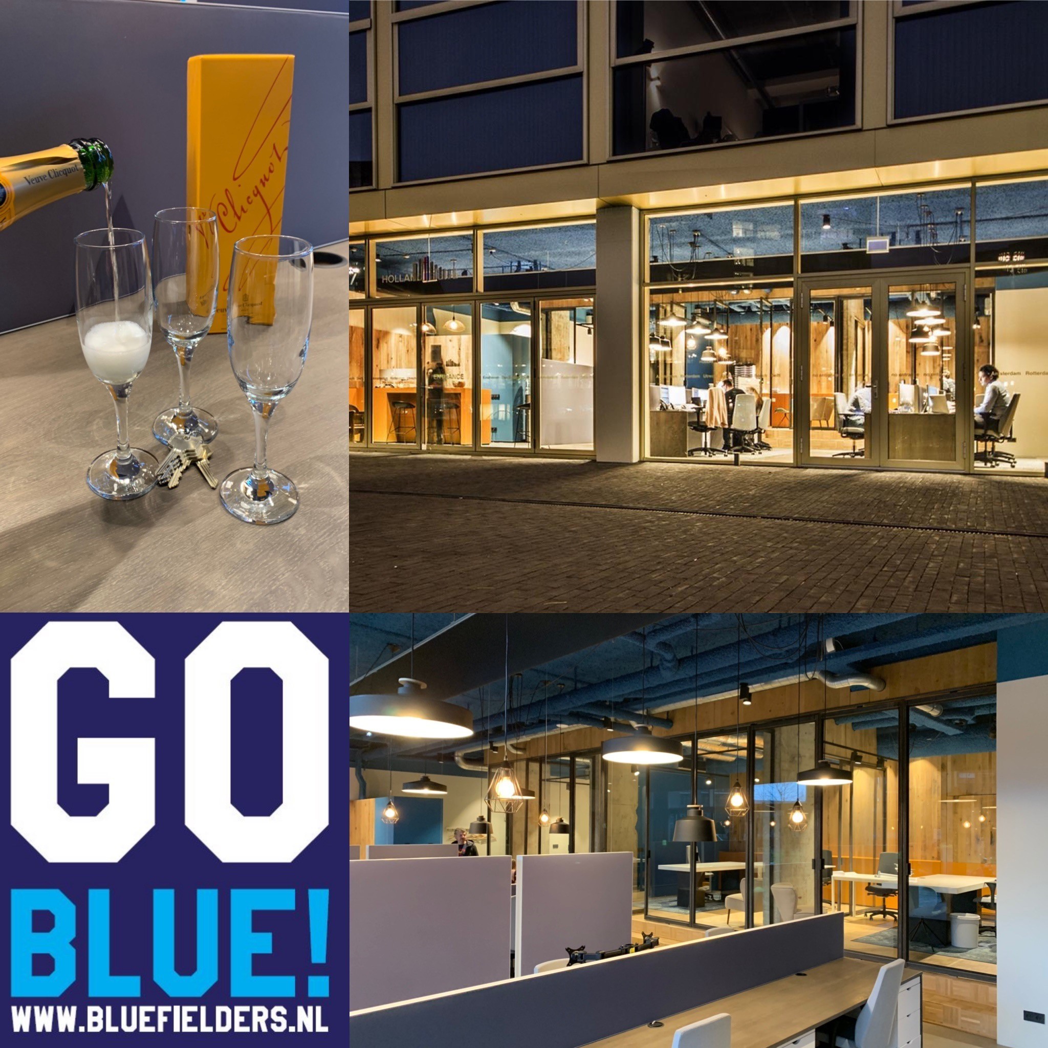 Omslagfoto van Blue Fielders