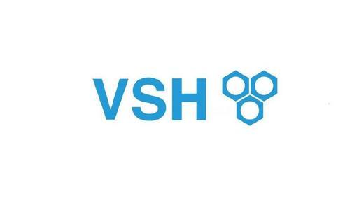 VSH Fittings BV logo