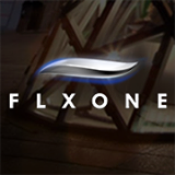 FLXone logo