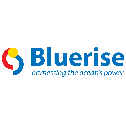 Logo Bluerise
