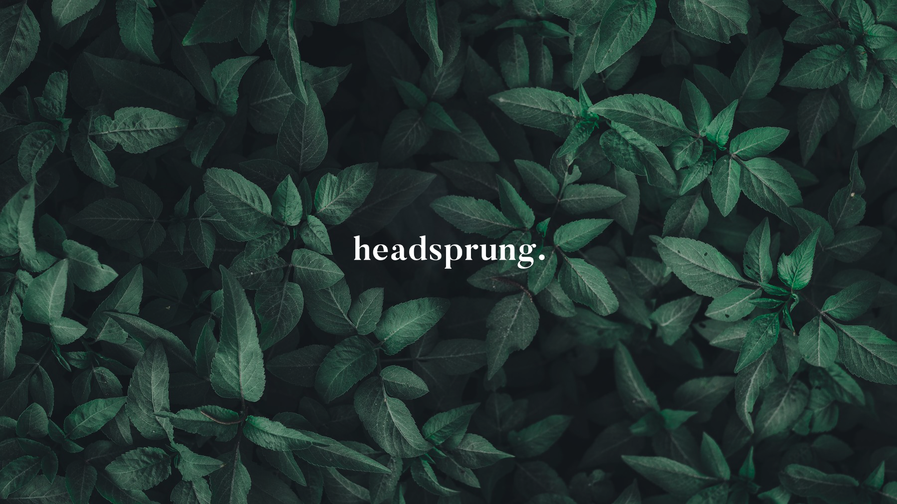Coverphoto for Stage Digital Marketing at Headsprung