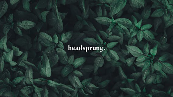 Headsprung - Cover Photo