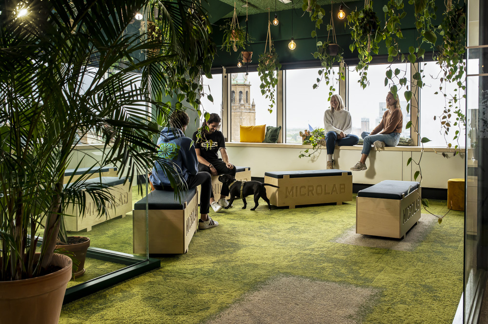 Omslagfoto van Locatie Directeur bij Microlab