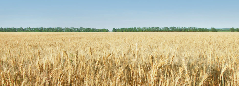 Procam UK's cover photo