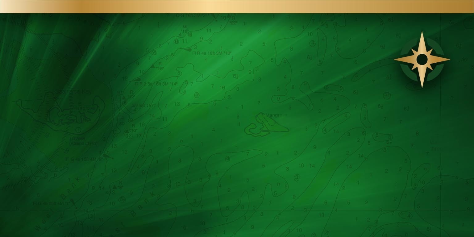 Omslagfoto van Troy Corporation