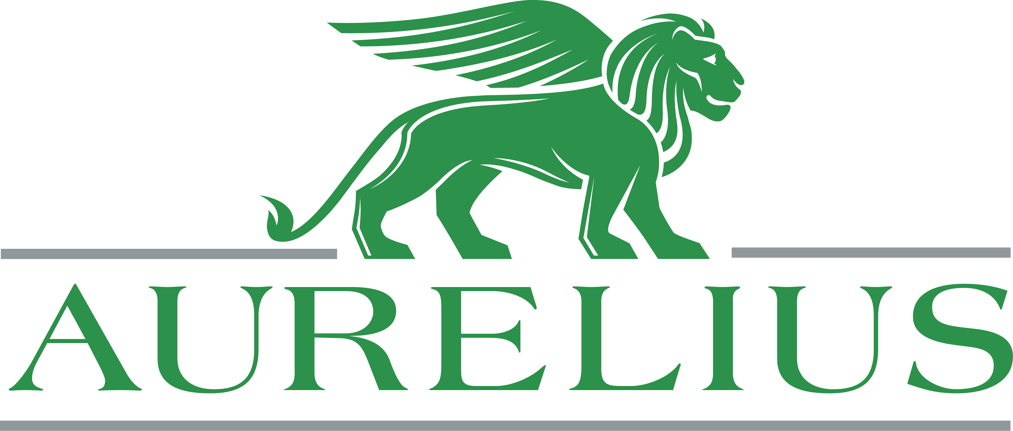 Logo AURELIUS Group