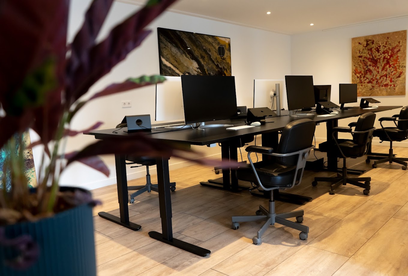 Omslagfoto van The Ecom Agency