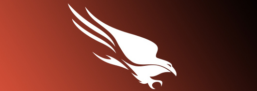Omslagfoto van CrowdStrike UK