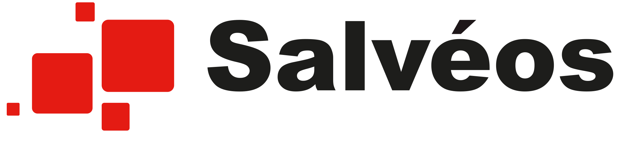 Logo Salvéos Consulting