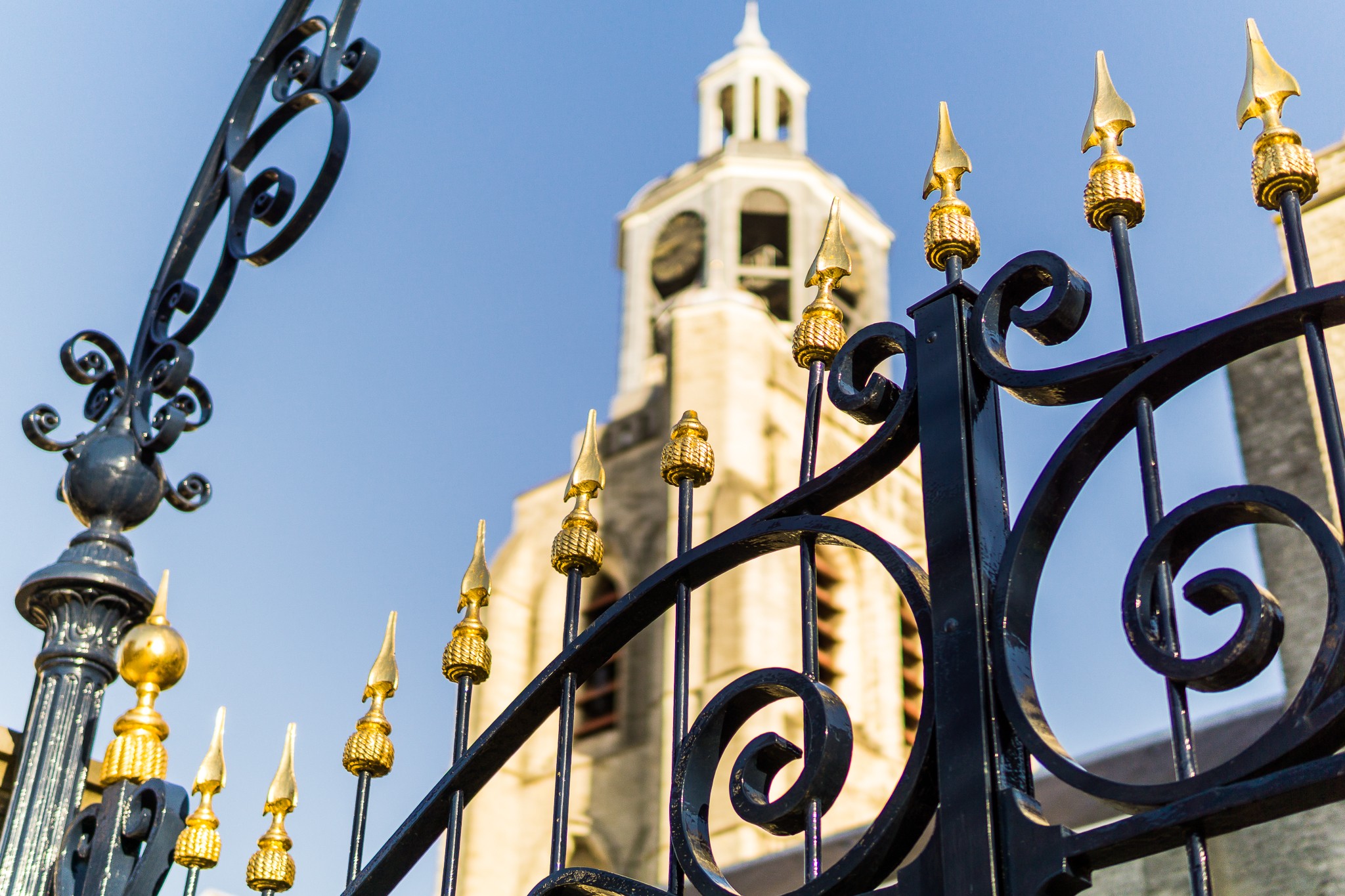 Gemeente Bergen op Zoom's cover photo