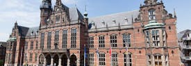 Coverphoto for PhD positions in RNA Structure Ensembles & Dynamics at University of Groningen