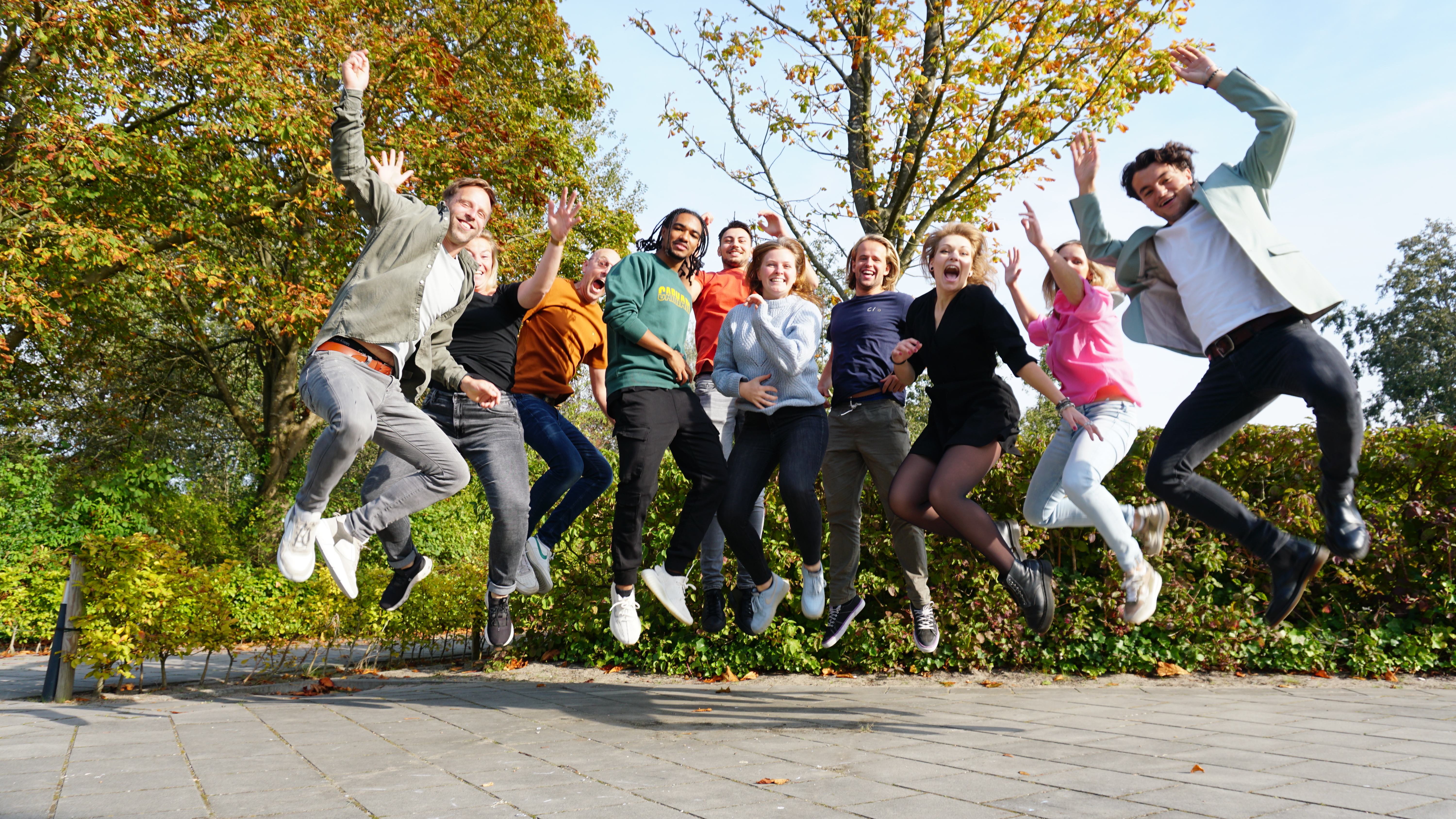 De Fitte Medewerker's cover photo