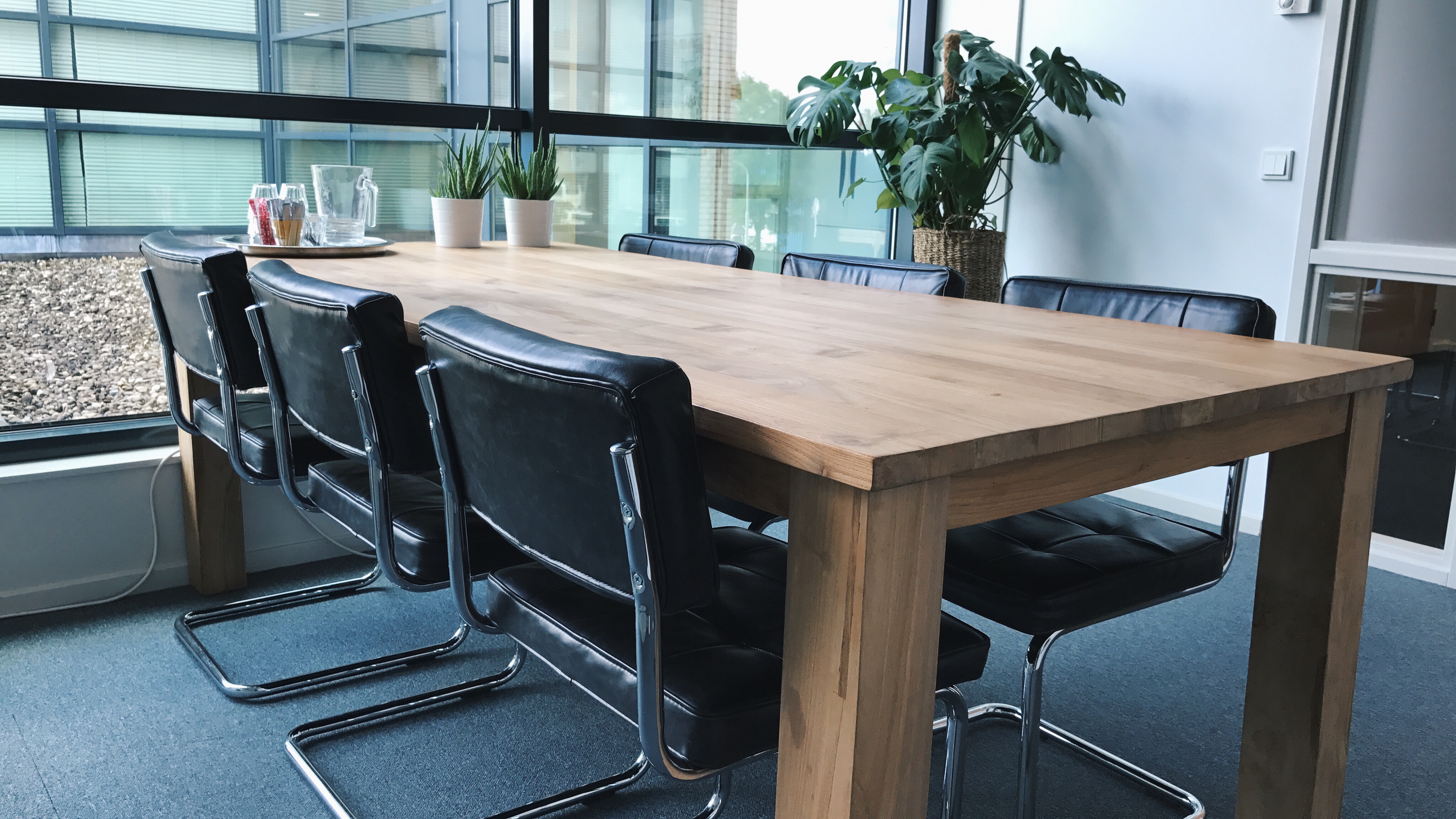 Omslagfoto van Minty Hosting