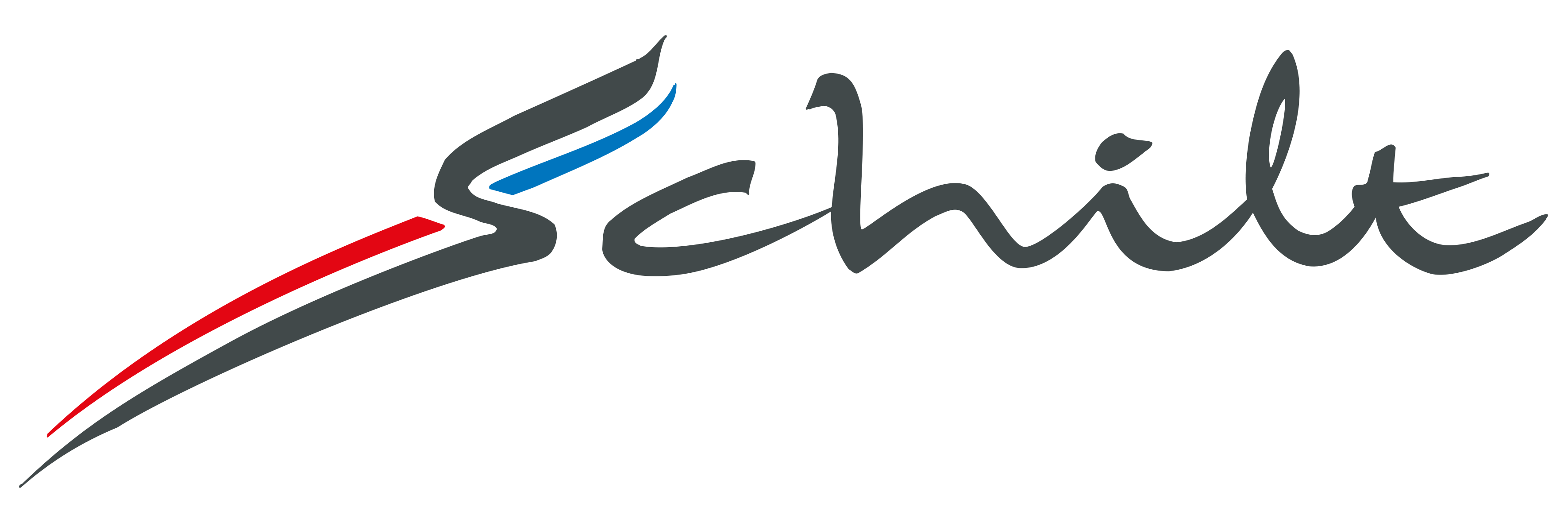 Logo Schilt