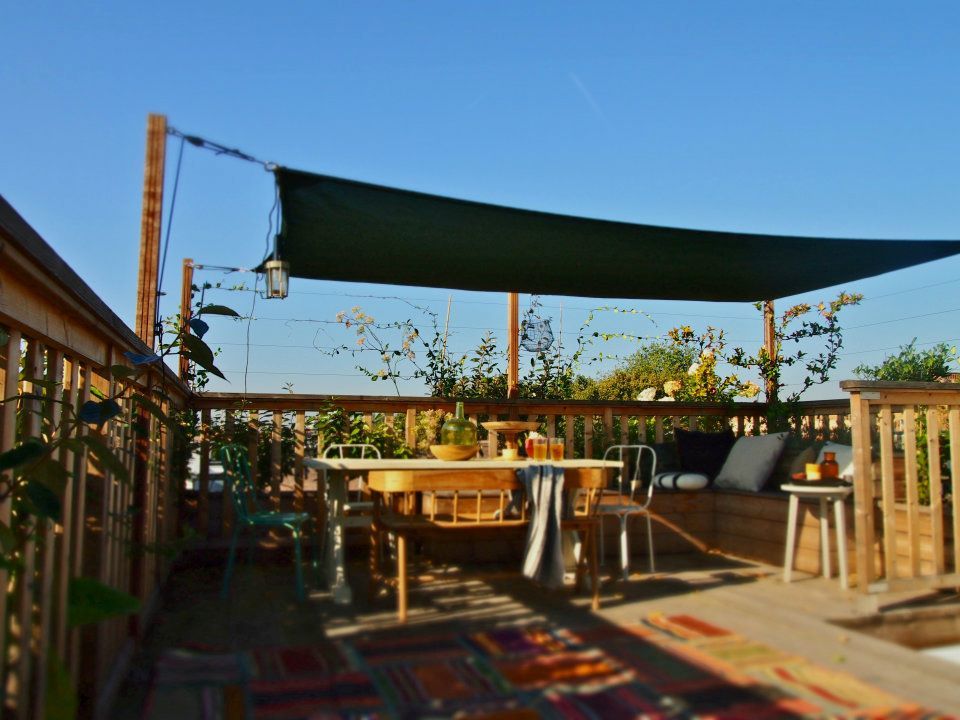 Omslagfoto van De Dakdokters