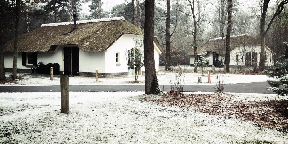 Omslagfoto van Stage Parkmanagment bij Landal GreenParks
