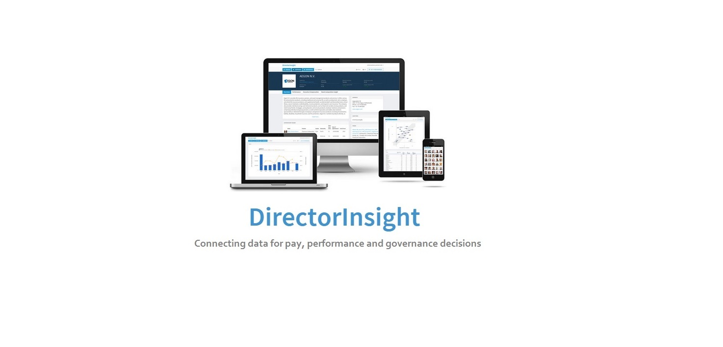 Omslagfoto van DirectorInsight (AMA Partners)