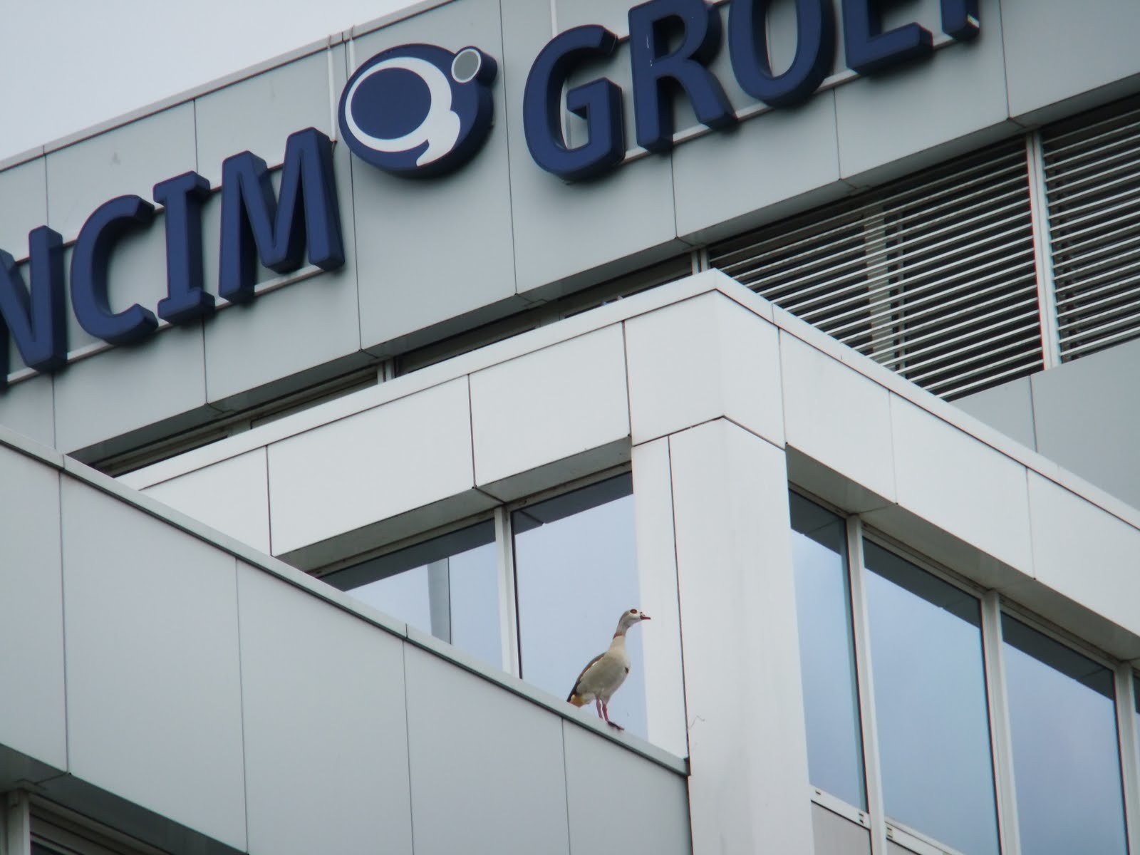 NCIM Groep's cover photo