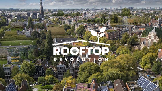 Rooftop Revolution - Cover Photo