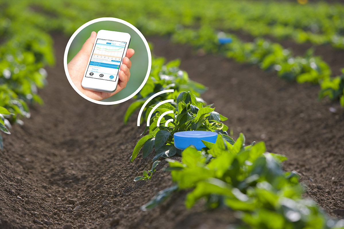 Omslagfoto van Sensoterra