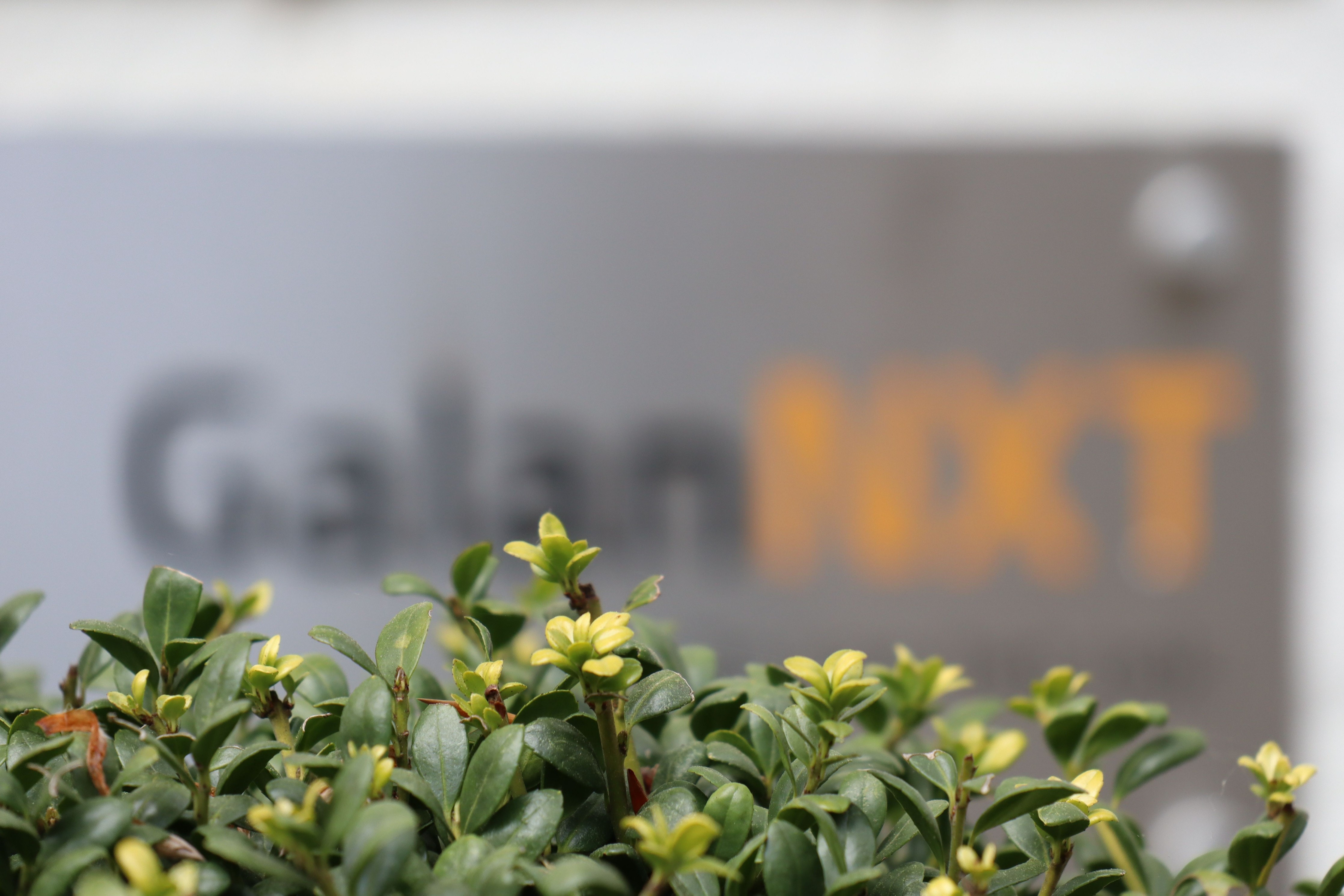 Omslagfoto van GalanNXT